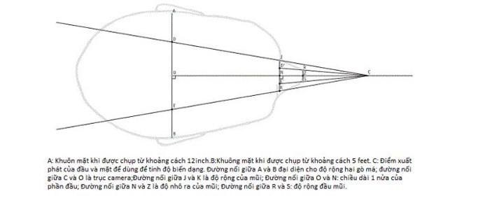 Bí mật sống ảo: Chụp selfie khiến mũi bạn trông to hơn thực tế - Ảnh 2