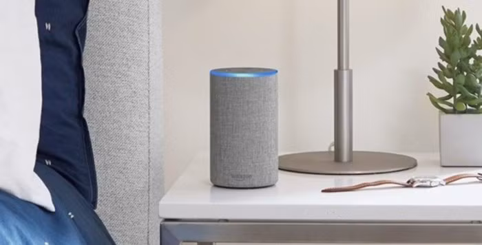 Amazon chế tạo chip AI dành riêng cho trợ lý ảo Alexa - Ảnh 1