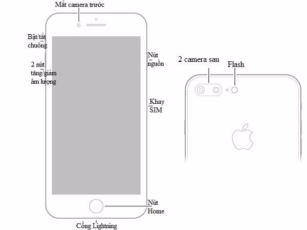Hướng dẫn sử dụng iPhone 8, iPhone 8 Plus toàn tập - Ảnh 2