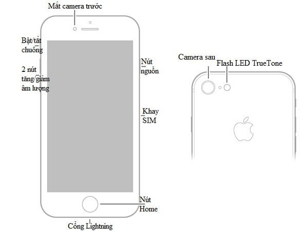 Hướng dẫn sử dụng iPhone 8, iPhone 8 Plus toàn tập - Ảnh 1