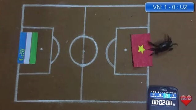 Dân mạng nhờ mèo, gà, cào cào dự đoán trận chung kết của U23 Việt Nam - Ảnh 6