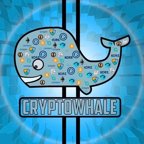 Triệu phú Bitcoin 19 tuổi truyền bá tiền ảo mới 'ngon bổ rẻ' trên toàn thế giới - Ảnh 2