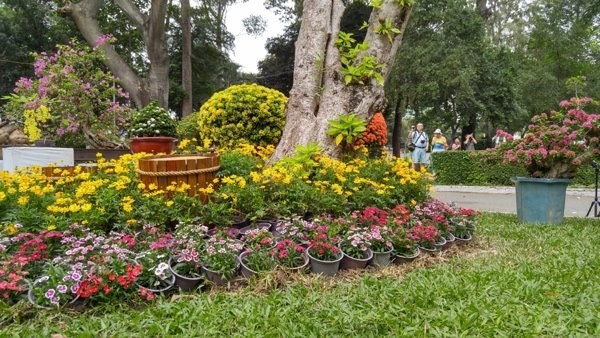 8 địa điểm chụp ảnh Xuân đẹp ở Sài Gòn - Ảnh 2