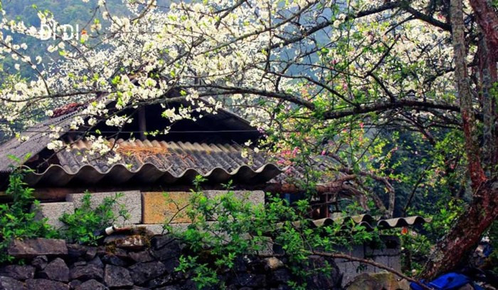 5 cung đường cho xế hộp 'đổi gió' đầu xuân - Ảnh 3