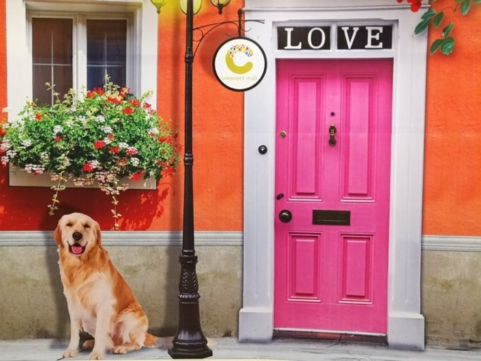 8 địa điểm chụp ảnh Xuân đẹp ở Sài Gòn - Ảnh 5