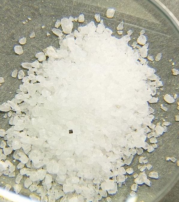 IBM công bố chiếc máy tính nhỏ nhất thế giới: nhỏ hơn hạt muối, giá sản xuất chỉ 2.000 VND - Ảnh 2