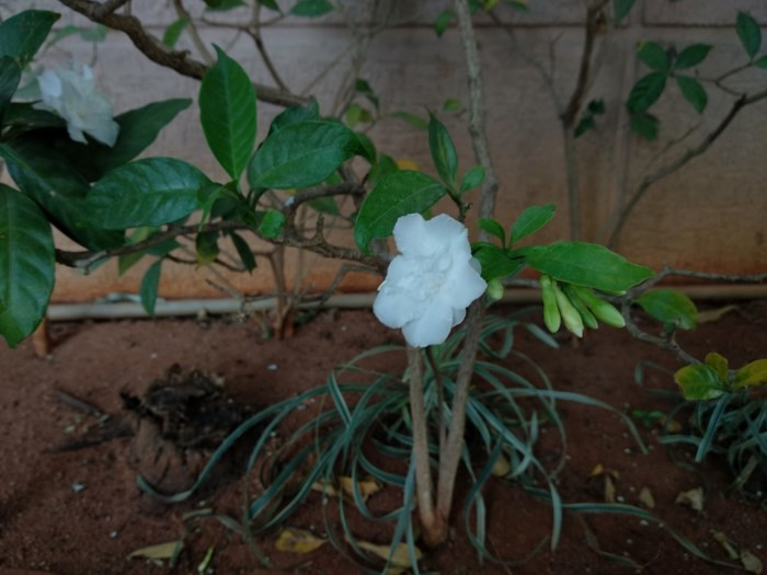 So sánh Xiaomi Redmi Note 5 Pro và Mi A1: Khi MIUI đối đầu Android One - Ảnh 16