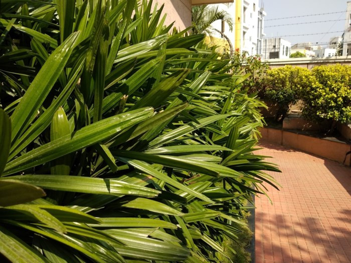 So sánh Xiaomi Redmi Note 5 Pro và Mi A1: Khi MIUI đối đầu Android One - Ảnh 18