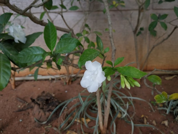 So sánh Xiaomi Redmi Note 5 Pro và Mi A1: Khi MIUI đối đầu Android One - Ảnh 15