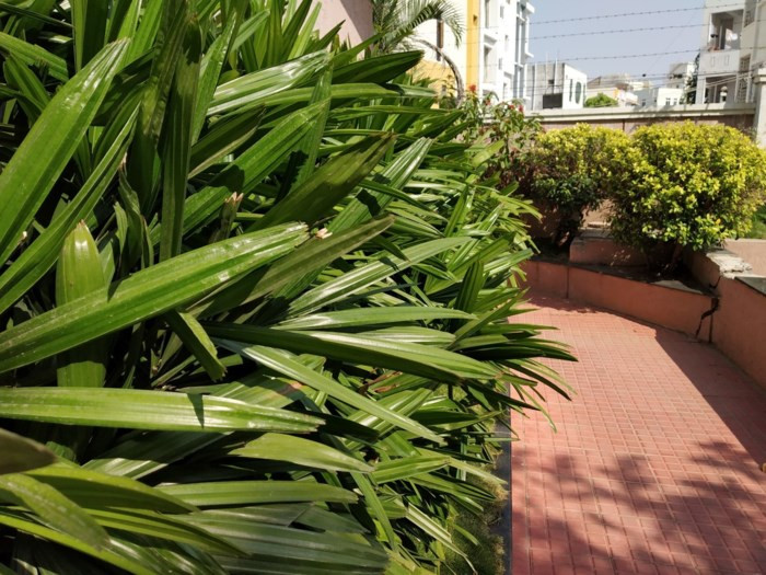 So sánh Xiaomi Redmi Note 5 Pro và Mi A1: Khi MIUI đối đầu Android One - Ảnh 17