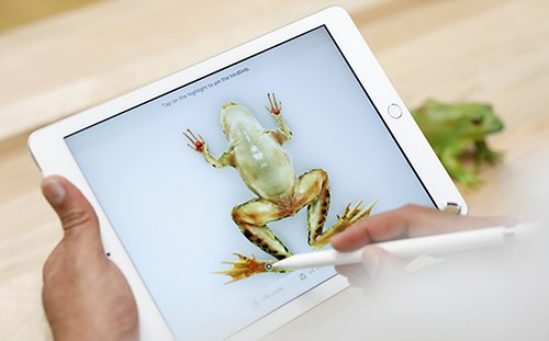 Apple bất ngờ tung ra iOS 11.3 riêng cho iPad 6 2018 - Ảnh 1