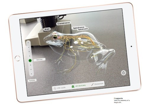 Apple trình làng iPad giá rẻ dành cho giáo dục, hỗ trợ Apple Pencil - Ảnh 4