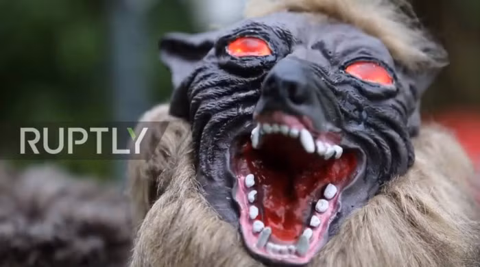 Robot... chó sói hỗ trợ nông dân Nhật bảo vệ mùa màng trước các loài phá hoại - Ảnh 6