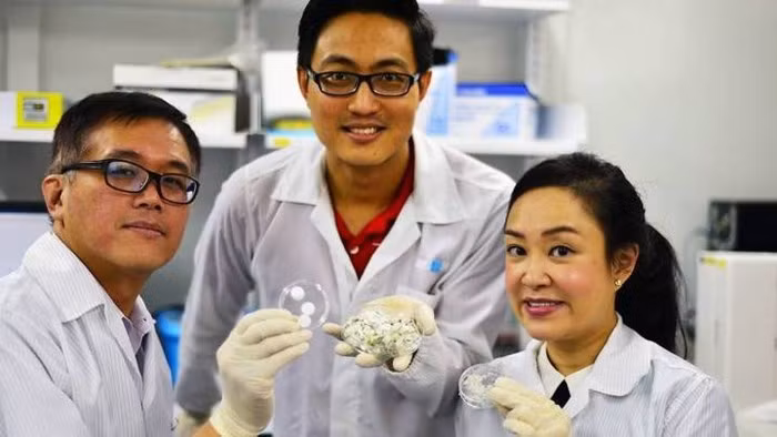 Collagen từ vẩy cá có thể chữa lành vết thương nhanh hơn? - Ảnh 1