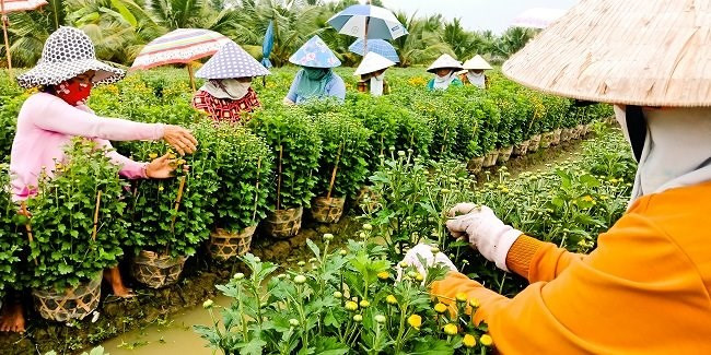 Một khoảng lặng miền Tây trước Tết cổ truyền qua ống kính OPPO F5 - Ảnh 2