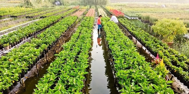 Một khoảng lặng miền Tây trước Tết cổ truyền qua ống kính OPPO F5 - Ảnh 13