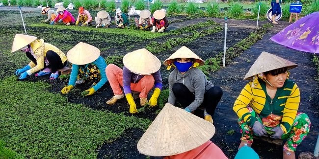 Một khoảng lặng miền Tây trước Tết cổ truyền qua ống kính OPPO F5 - Ảnh 12