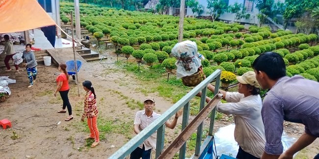 Một khoảng lặng miền Tây trước Tết cổ truyền qua ống kính OPPO F5 - Ảnh 9