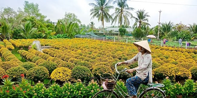 Một khoảng lặng miền Tây trước Tết cổ truyền qua ống kính OPPO F5 - Ảnh 5