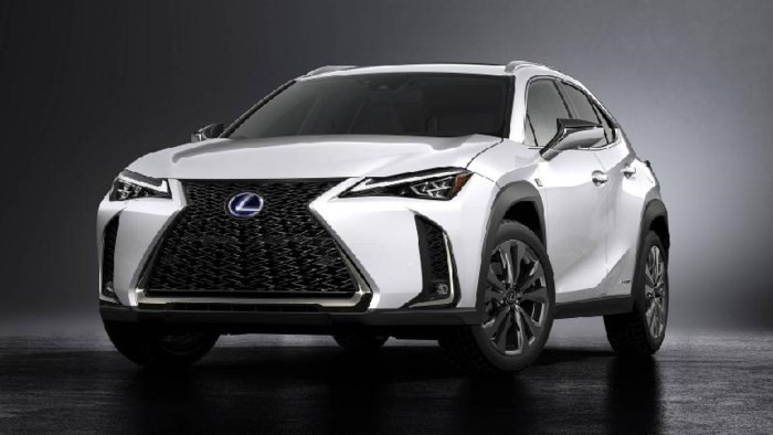 Lexus UX 2019 lộ diện với kiểu dáng 'hợp mốt' đô thị đông đúc - Ảnh 6