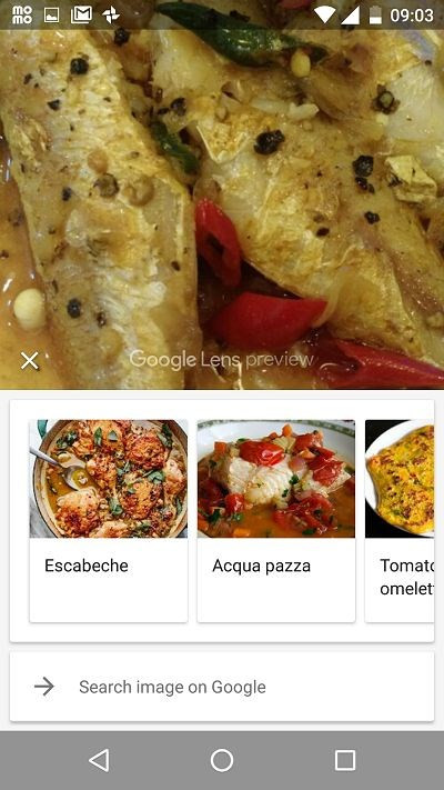 Dùng thử Google Lens vừa được cập nhật cho ứng dụng Photos trên Android - Ảnh 9
