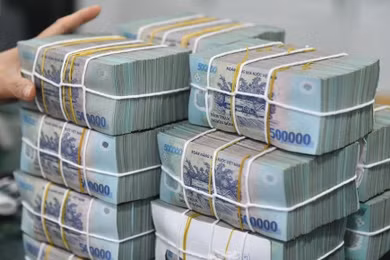 Lịch chốt quyền cổ tức tuần tới: Traphaco và Vật liệu xây dựng Biên Hòa có tỷ lệ cao nhất