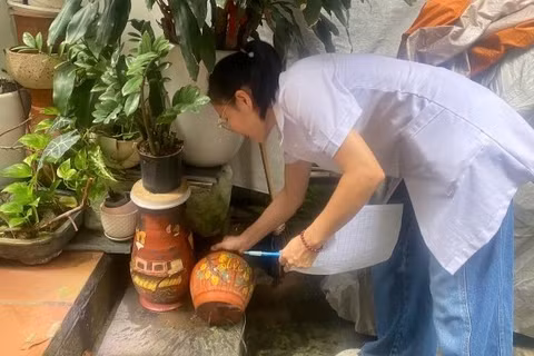 Sốt xuất huyết gia tăng tại Hà Nội, phát hiện hàng nghìn ổ bọ gậy ở khu dân cư