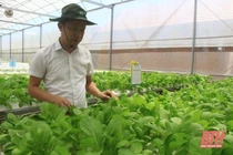 Chuyển đổi số trong nông nghiệp