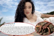 Xử lý nghiêm những người nổi tiếng lan truyền tin giun đất chữa khỏi Covid-19