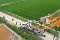 Công nhân EVN nâng cấp lưới điện, đảm bảo an ninh năng lượng quốc gia