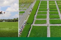 Hoàn thiện hệ sinh thái cho chuyển đổi số nông nghiệp Việt Nam