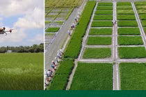 Hoàn thiện hệ sinh thái cho chuyển đổi số nông nghiệp Việt Nam