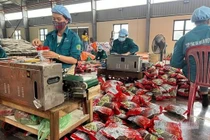 Nhân rộng mô hình hộ sản xuất nông sản số ở Thái Nguyên