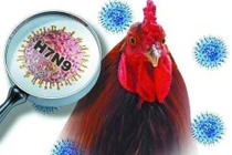 Ảnh minh họa. Nguồn Internet