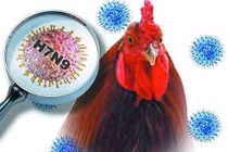 Ảnh minh họa. Nguồn Internet