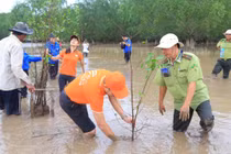 Khu vực trồng 2.000 cây bần nằm ở cửa biển thuộc sông Hậu, là một trong những khu vực chịu thiệt hại nặng nề của triều cường. 