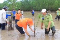 Khu vực trồng 2.000 cây bần nằm ở cửa biển thuộc sông Hậu, là một trong những khu vực chịu thiệt hại nặng nề của triều cường. 