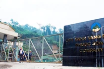 Quảng Nam mở thủ tục phá sản đối với Công ty vàng Phước Sơn