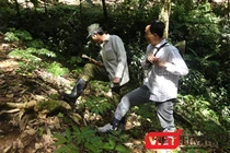 Quảng Nam sẽ tổ chức chợ sâm Ngọc Linh định kỳ 1 tháng/lần tại Nam Trà My