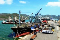 Chính phủ yêu cầu Thanh tra toàn diện việc cổ phần hóa cảng Quy Nhơn