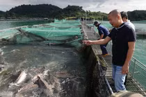 Doanh nhân Lê Anh Đức - Đức "Cá tầm". (Nguồn: AFP)