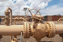 Ảnh minh họa: Getty