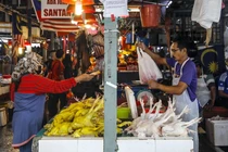 Một người dân mua gà tại chợ tươi sống ở Kuala Lumpur, Malaysia (Ảnh: EPA)