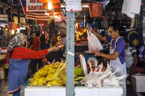 Một người dân mua gà tại chợ tươi sống ở Kuala Lumpur, Malaysia (Ảnh: EPA)