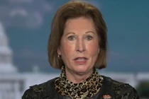 Bà Sidney Powell trong cuộc phỏng vấn với Fox News (Ảnh: Fox News)