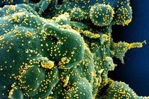 Biến chủng mới đã được phát hiện ở Hong Kong và Israel (Ảnh: Reuters)