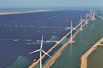 Xuất khẩu công nghệ sạch của Trung Quốc đã tăng vọt trong những năm gần đây, khi chi phí của tua-bin gió, tấm pin mặt trời, pin lithium và các giải pháp khác tiếp tục giảm. Ảnh: AFP.