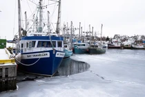 Lệnh áp thuế nhằm vào Canada, Mexico và Trung Quốc của ông Trump có thể làm dấy lên nguy cơ chiến tranh thương mại. Ảnh: Reuters.