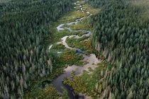 Con đường đi đến "Vành đai lửa" ở Bắc Ontario chụp từ trên cao (Ảnh: WSJ)