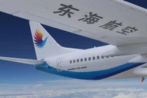 Donghai Airlines cho hay đã đình chỉ 2 nhân viên vì vụ ẩu đả ngay trong lúc bay (Ảnh: Handout)